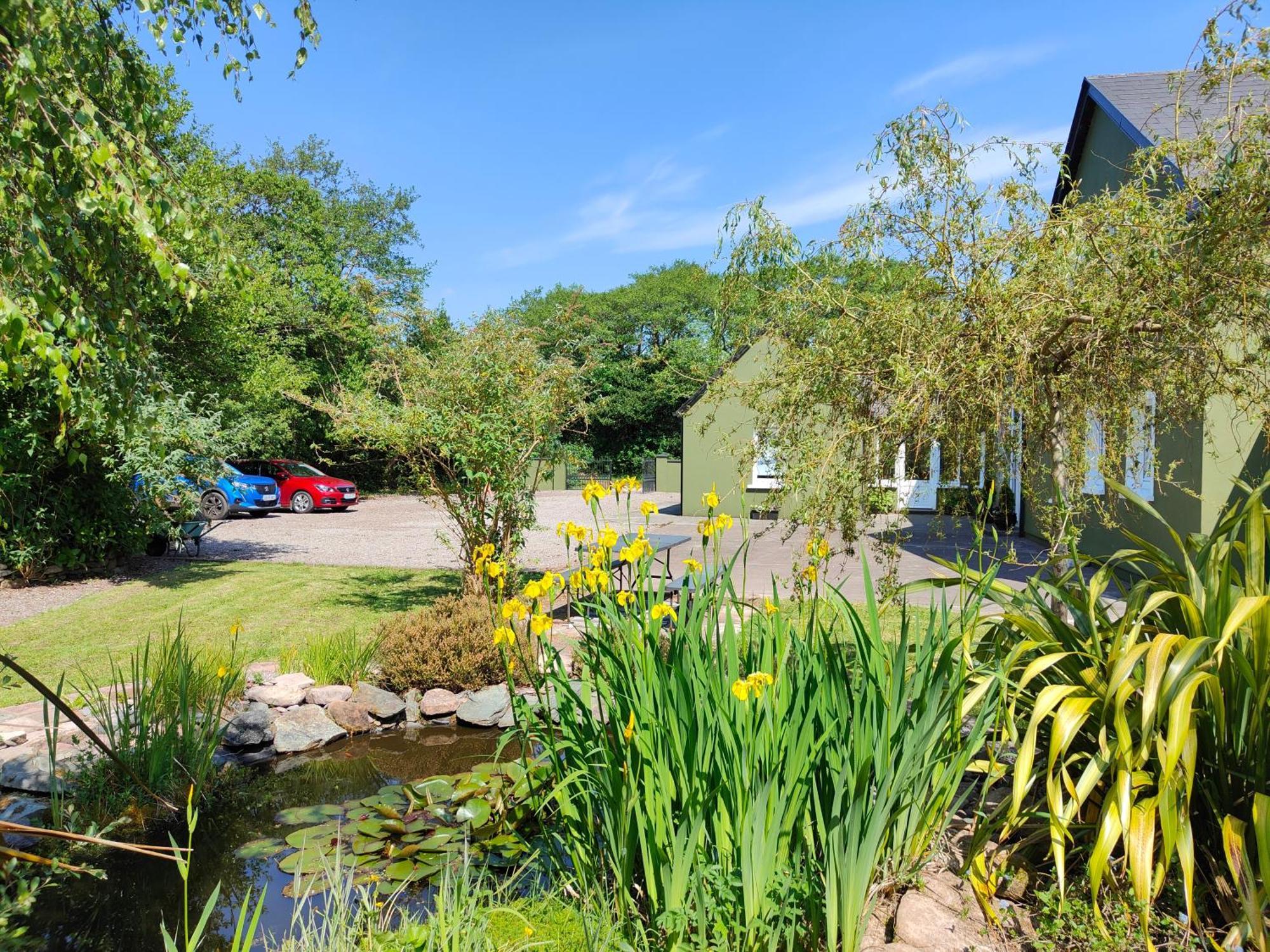 Bed and Breakfast Alderwood House Castlemaine Exterior foto